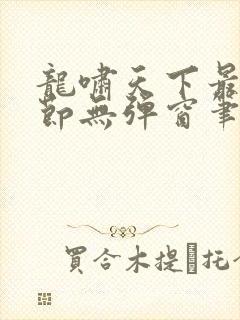 龙啸天下最新章节无弹窗笔趣阁