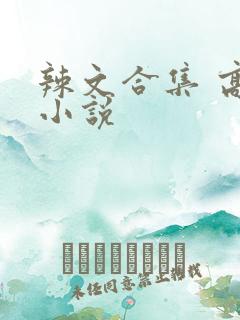 辣文合集 高h小说