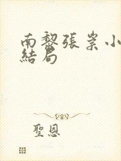 南黎张崇小说大结局