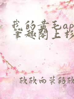 我的黄毛app笔趣阁上杉夏乡