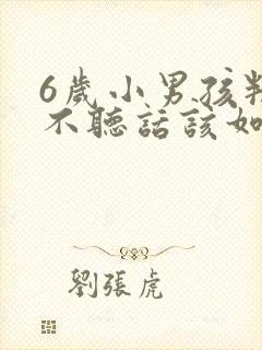 6岁小男孩叛逆不听话该如何管教?