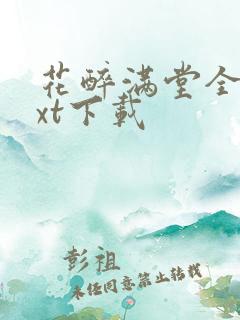 花醉满堂全本txt下载