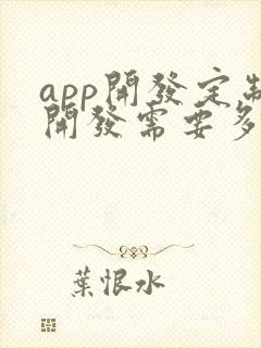 app开发定制开发需要多少钱