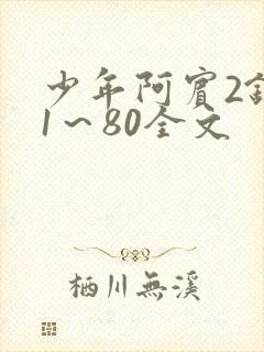 少年阿宾2钰慧1～80全文