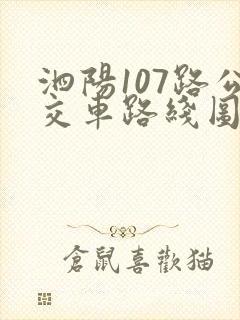 泗阳107路公交车路线图