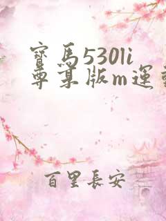 宝马530li尊享版m运动套装