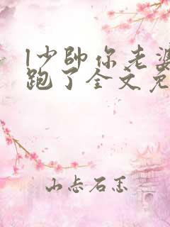 l少帅你老婆又跑了全文免费阅读
