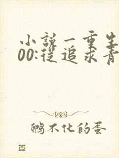 小说一重生2000:从追求青涩校花同桌开始