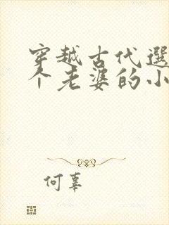 穿越古代选了三个老婆的小说