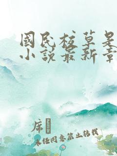 国民校草是女生小说最新章节阅读