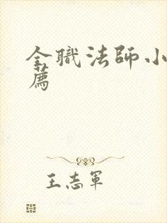全职法师小说推荐