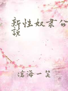 新性奴隶公司小说