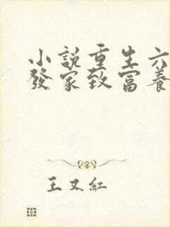 小说重生六零:发家致富养崽崽