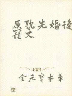 原耽先婚后爱甜宠文
