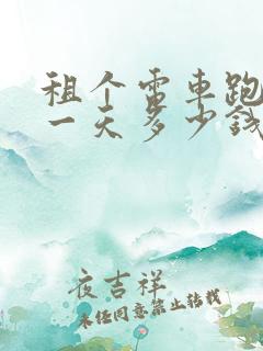 租个电车跑滴滴一天多少钱