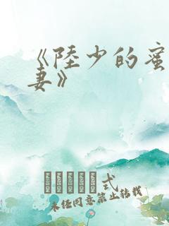 《陆少的蜜宠甜妻》