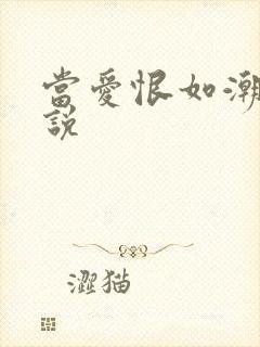 当爱恨如潮生小说