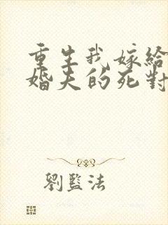 重生我嫁给了未婚夫的死对头