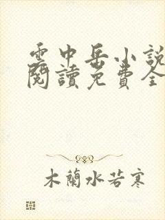 云中岳小说在线阅读免费全文