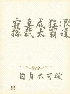 宠妻成狂:闪婚总裁太霸道