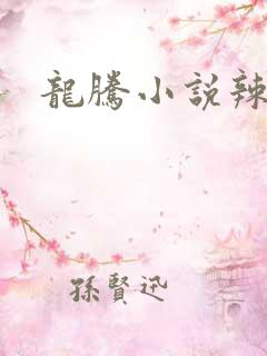 龙腾小说辣肉网