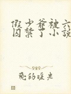 假少爷被六个哥囚禁了小说