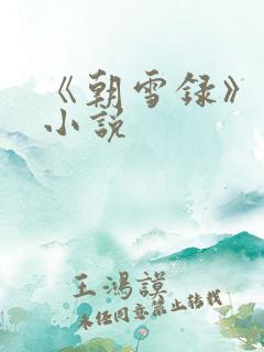 《朝雪录》原著小说