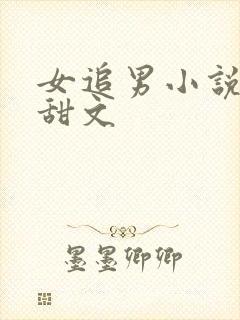 女追男小说校园甜文