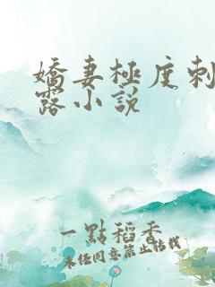 娇妻极度刺激暴露小说