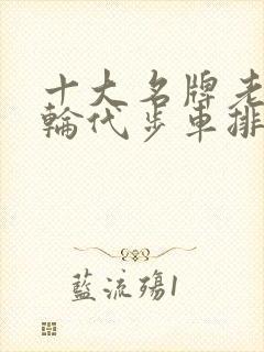 十大名牌老年四轮代步车排行
