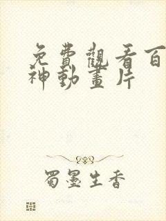 免费观看百炼成神动画片