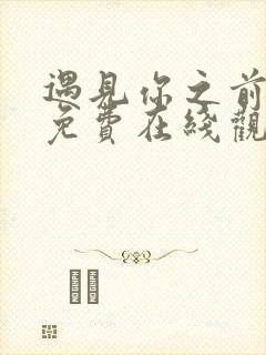 遇见你之前电影免费在线观看