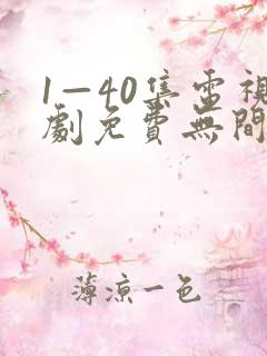 1—40集电视剧免费无间之战国语