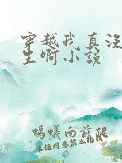 穿越我真没想重生啊小说