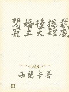 闪婚后总裁把我宠上天短剧免费观看