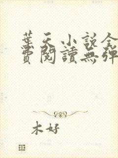 叶天小说全文免费阅读无弹窗
