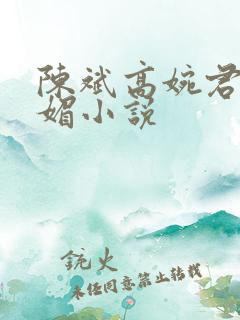 陈斌高婉君赵心媚小说