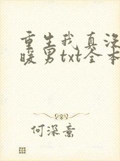 重生我真没想当暖男txt全本