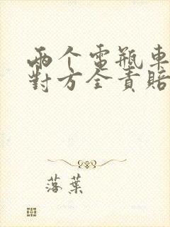 两个电瓶车相撞对方全责赔多少钱