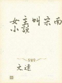 女主叫宋南汐的小说