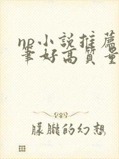 np小说推荐文笔好高质量 np小说推荐文笔好高质量