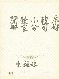 开发小程序定制哪家公司好