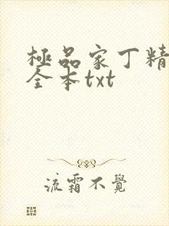 极品家丁精校版全本txt