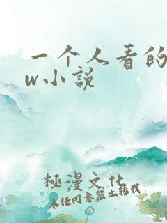 一个人看的www小说