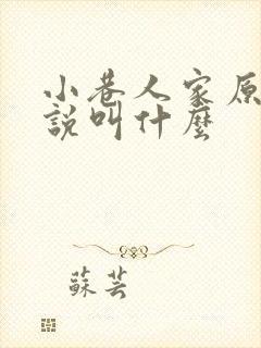 小巷人家原著小说叫什么