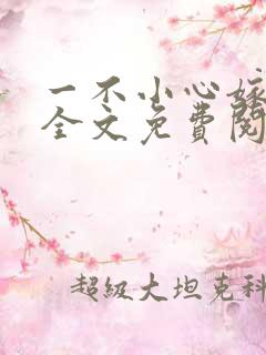 一不小心嫁总裁全文免费阅读