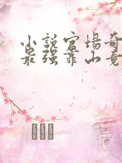 小说官场奇才:最强靠山竟是我自己李霖在