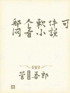 哪个软件可以无网看小说