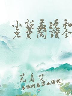 小说孟晓和杨易免费阅读全文