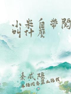 小米自带阅读器叫什么